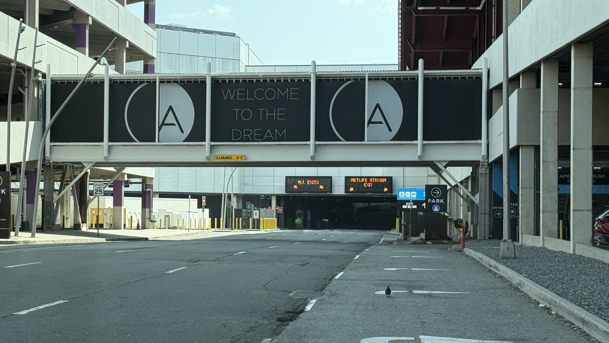 Lux Ride NY|Corporate Travel in NYC: Why Your Team Needs a Trusted Black Car Partner